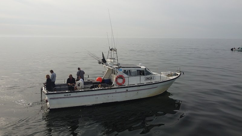 Sport vissen IJmuiden Jelle Visser Sportvisserij Zeevissen in IJmuiden Bootverhuur / Groepen vanaf 8p
