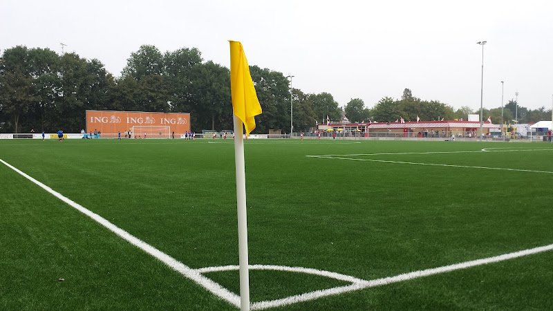 Sportvereniging DSOV