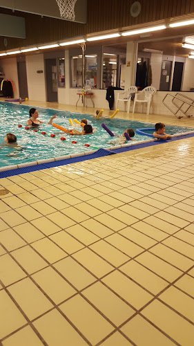 Swimming School De Drijver