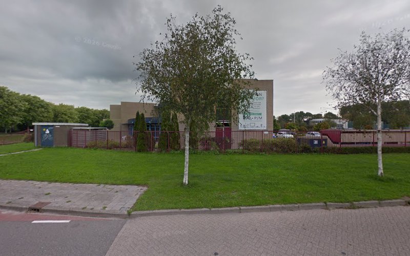 Systemisch Coach & (familie) opsteller in Hoorn