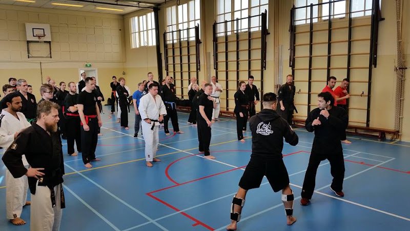 The Old School Martial Arts