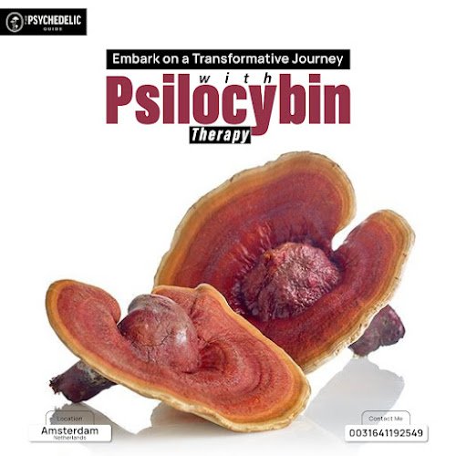 The Psychedelic Guide