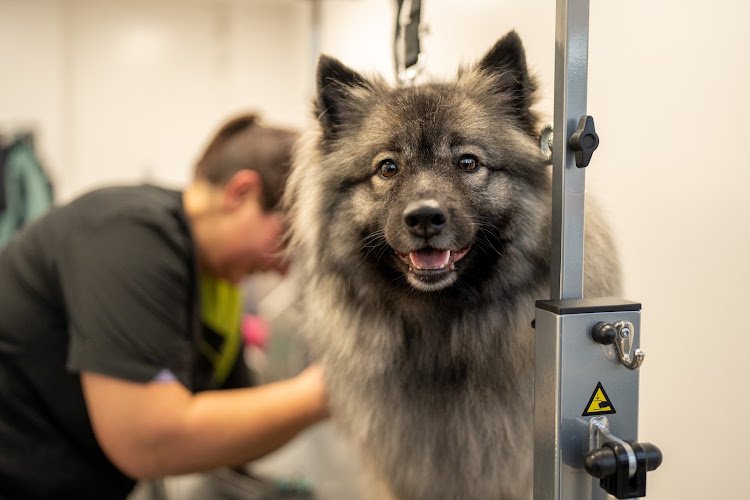 Trimsalon Beautiful Pets