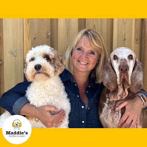 Trimsalon Maddie’s – Doodles en meer🐩