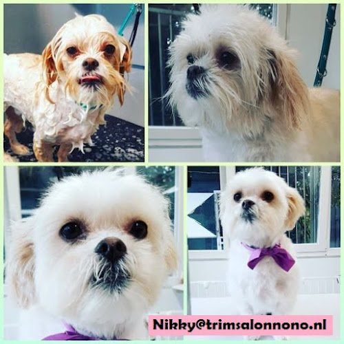 Trimsalon Nono