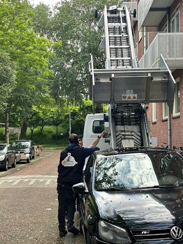 Verhuisdokters