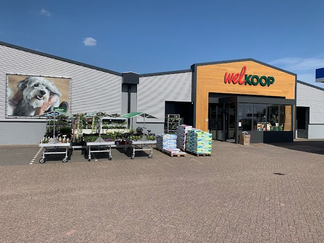 Welkoop Anna Paulowna