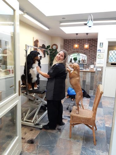 Woeffies Hair Salon