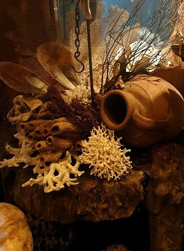 Wunderkammer Schoorl