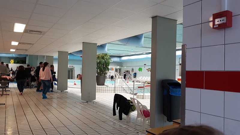 Zwembad de Waterakkers