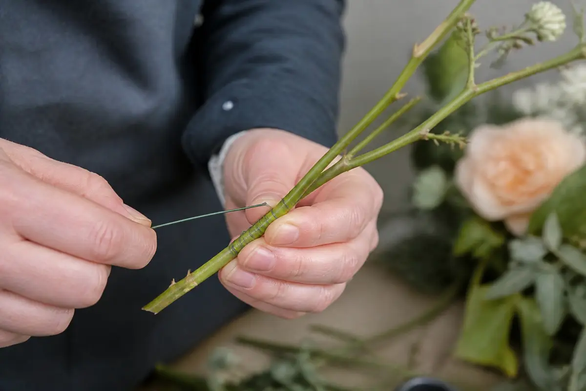 florists - close-up-of-thin-fl