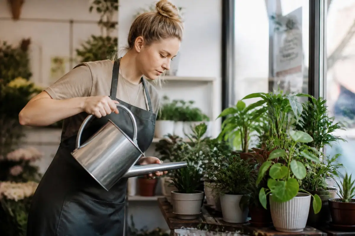 florists - florist-watering-po
