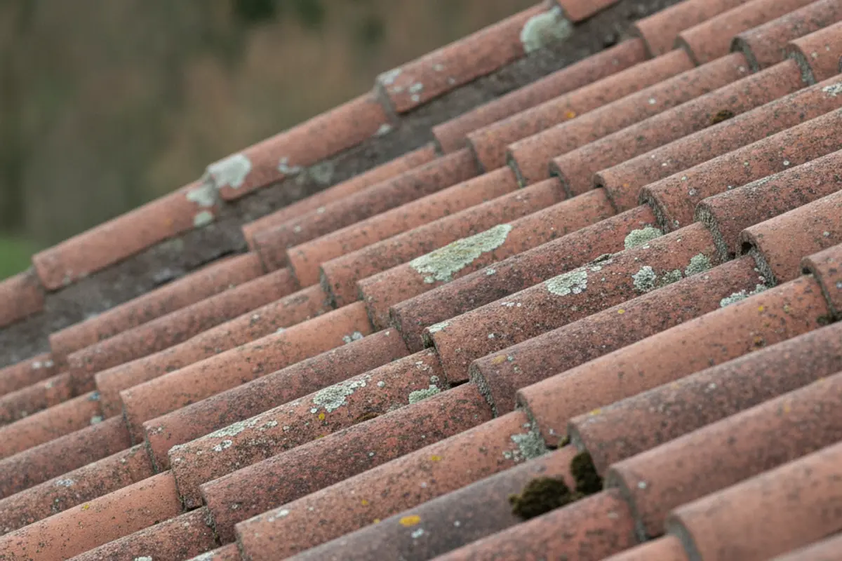 roofers - 043