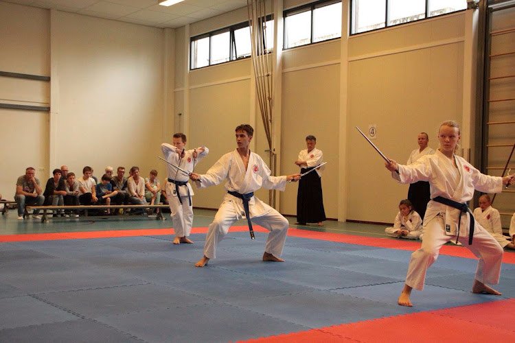 st. Budo Ryu Koersen