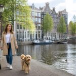 A person walking a dog along a canal with traditional Amsterdam buildings in the background.