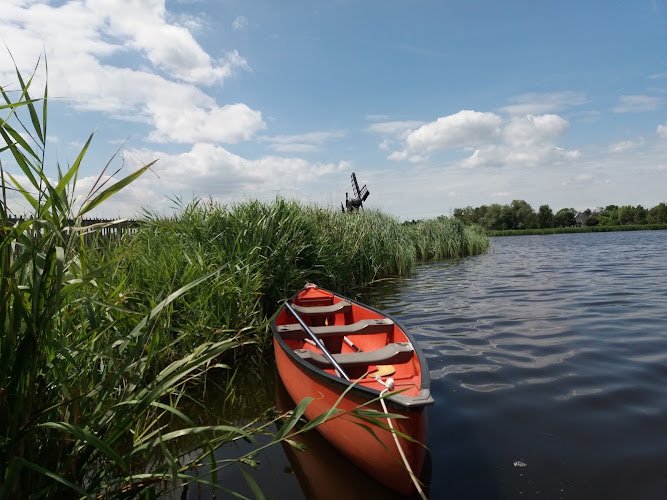 wetlands Safari