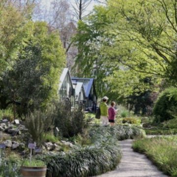Summer Evening Live Music at Hortus Botanicus