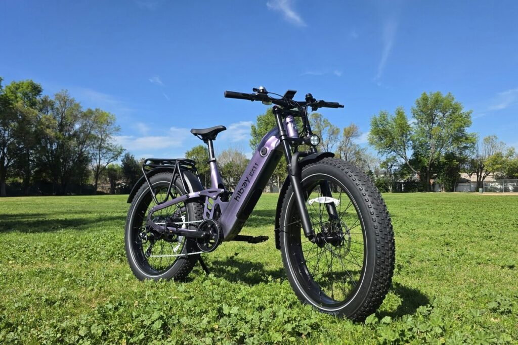 Electric fat bike parked on grass in a park