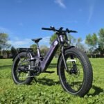 Electric fat bike parked on grass in a park