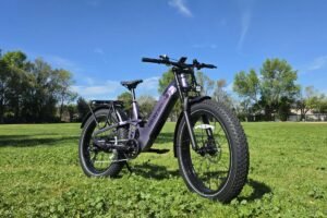 Electric fat bike parked on grass in a park