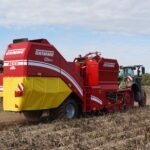 Drought cuts Dutch crop harvests by up to 30%