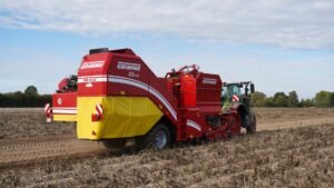 Drought cuts Dutch crop harvests by up to 30%