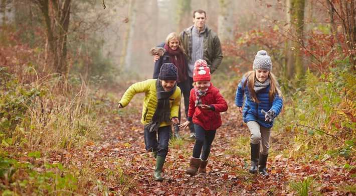 Five family autumn walking trails around Amstelland