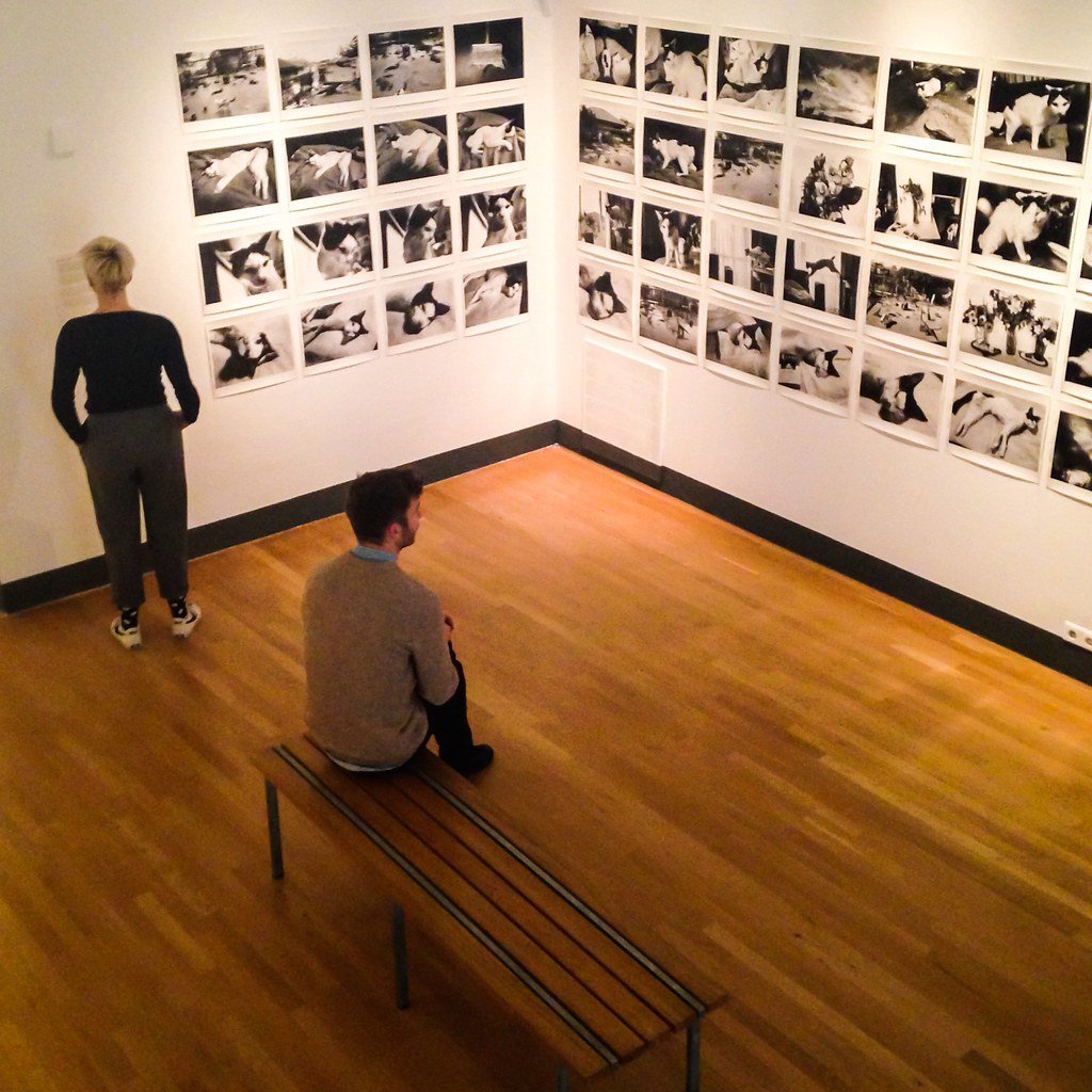 Hailun Ma opens a solo photography survey at FOAM