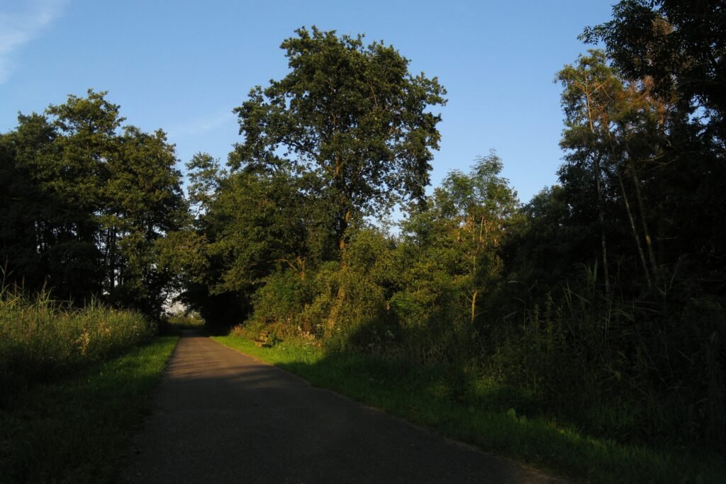 Zanddijk, Peizermaden, Drenthe