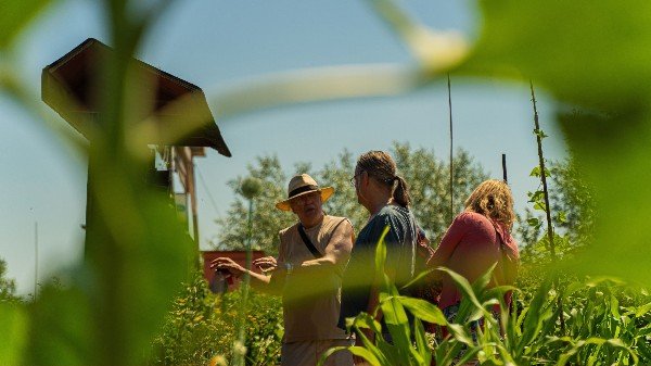 Wildplukwandeling and herb butter making in Noord