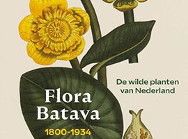 Six botanical lectures on the historic Flora Batava