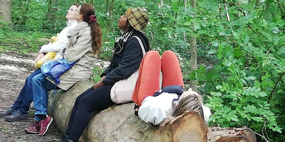 Slow forest bathing walk through the late autumn woods