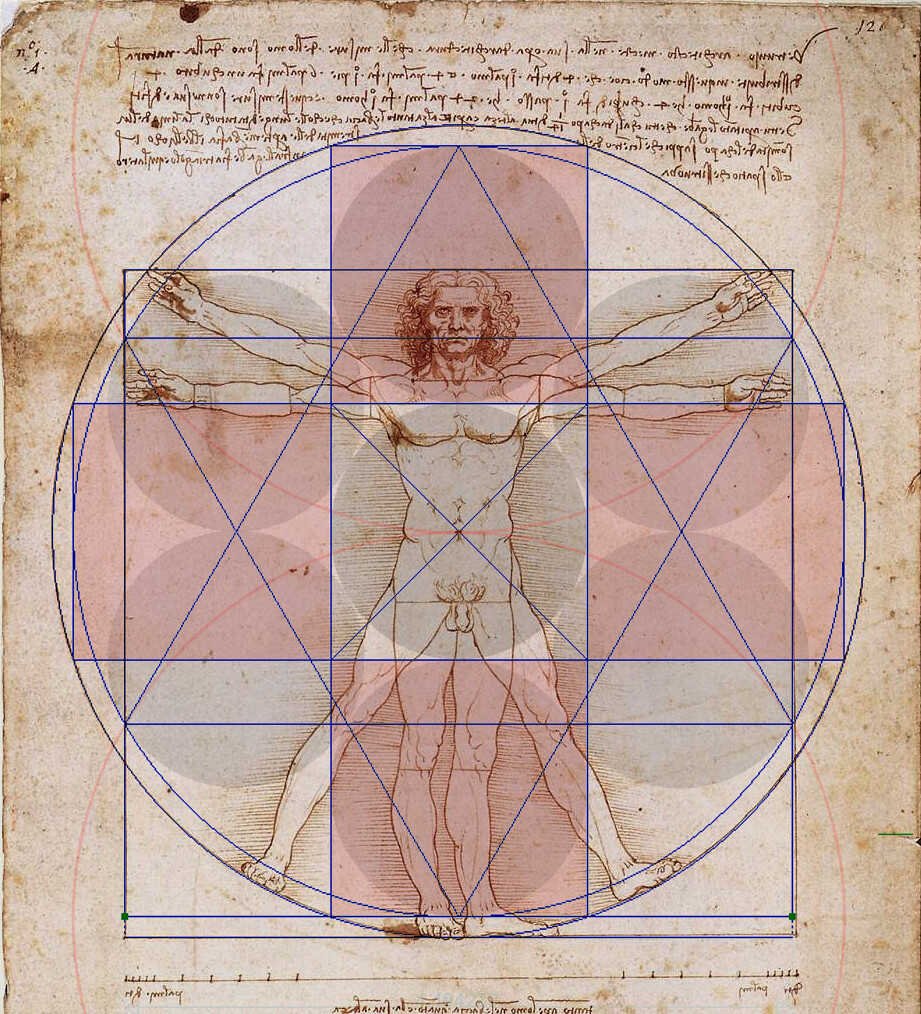 Vitruvian Man drawing workshop at Wereldmuseum