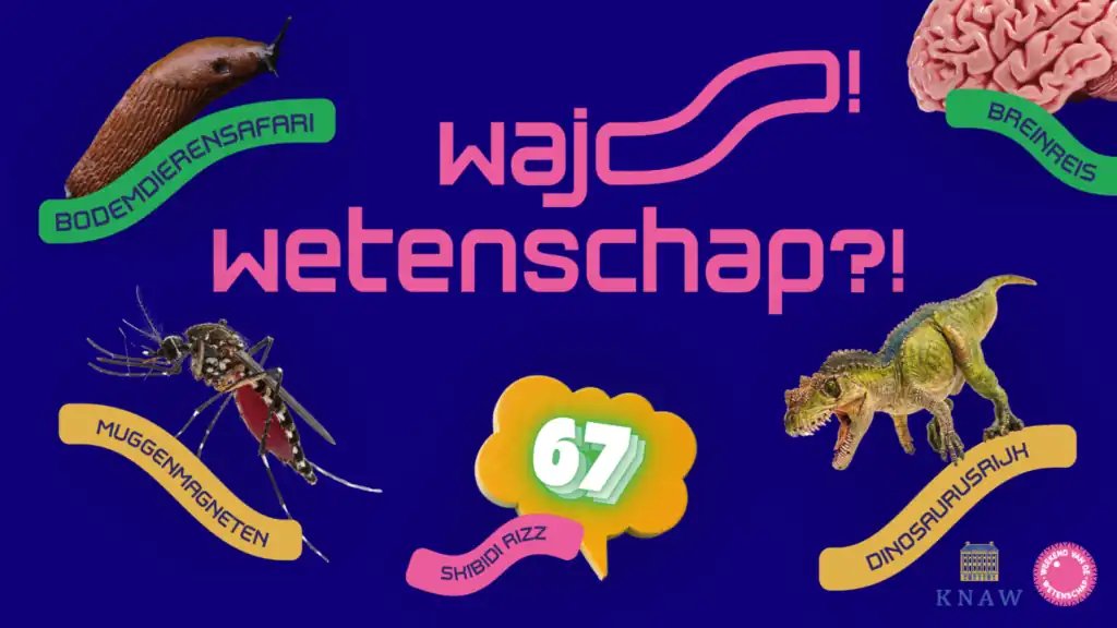 Fold microscopes and try experiments at Wajo! Wetenschap?!
