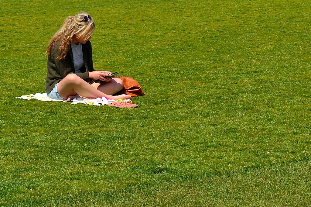 Museumplein Polo Amsterdam brings horses to the city grass