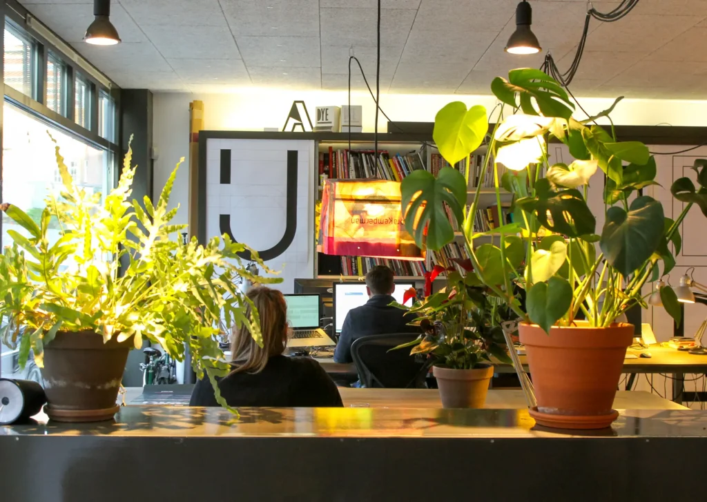Ape to Zebra Coworking
