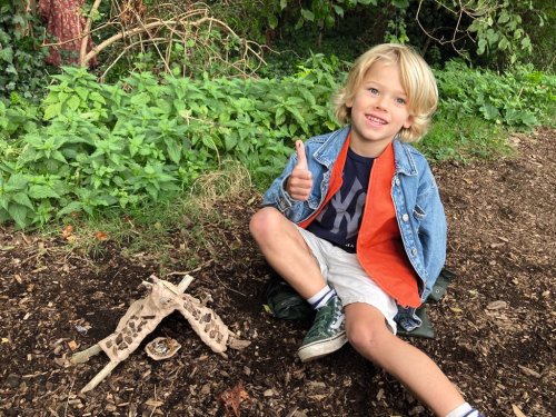 Dieren Verwen Dag: build winter shelters for Vondelpark’s animals