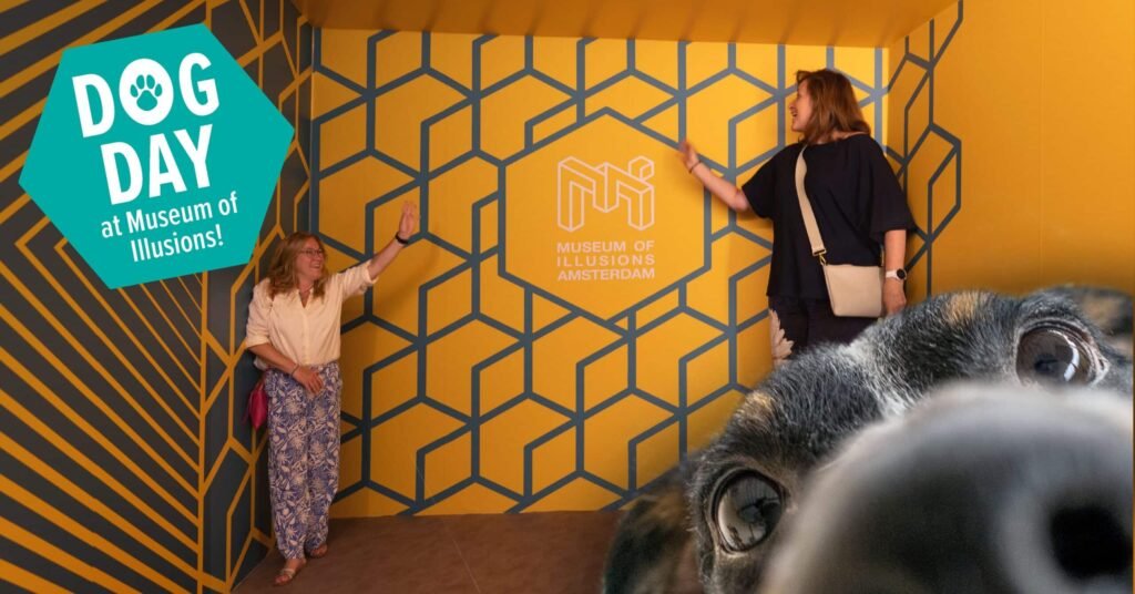 Dog Day at Museum of Illusions Amsterdam