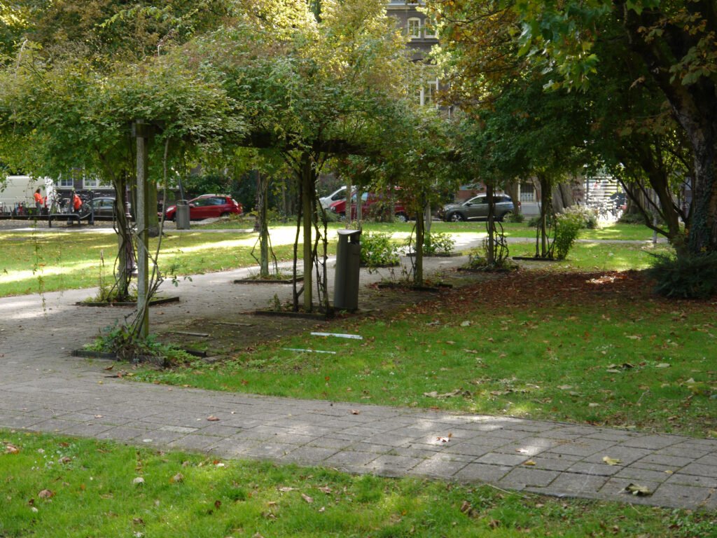 Rose_hedge_in_city_park_in_Autumn2C_in_Plantage_district3B_f-1