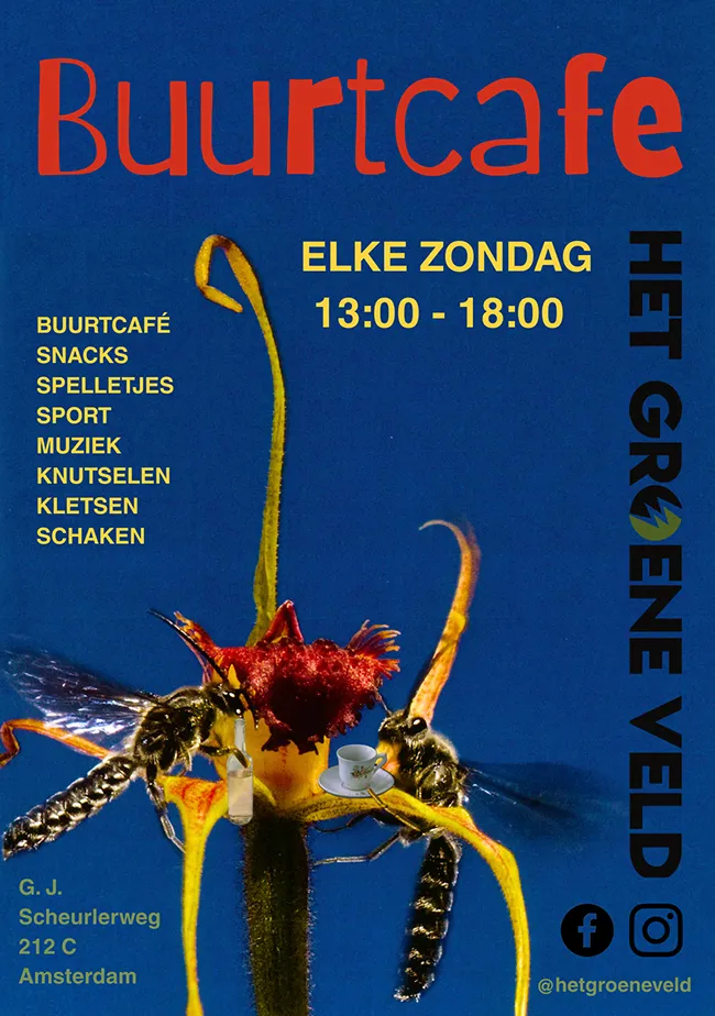 Board games, table tennis and trampolines in Noord