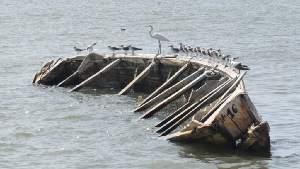 Vantage views from sunken boat