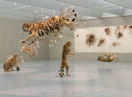 Art lecture exploring contemporary taxidermy at Art Zoo Museum