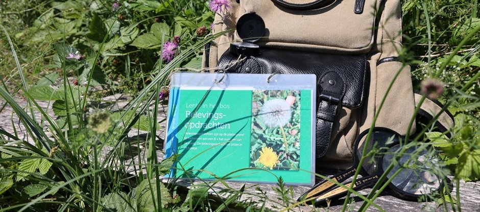 Het Onzichtbare Zichtbaar, a forest art trail with tasks for kids