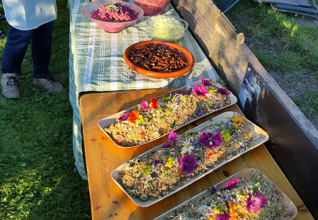 Harvest vegetables and cook lunch together along the Vecht