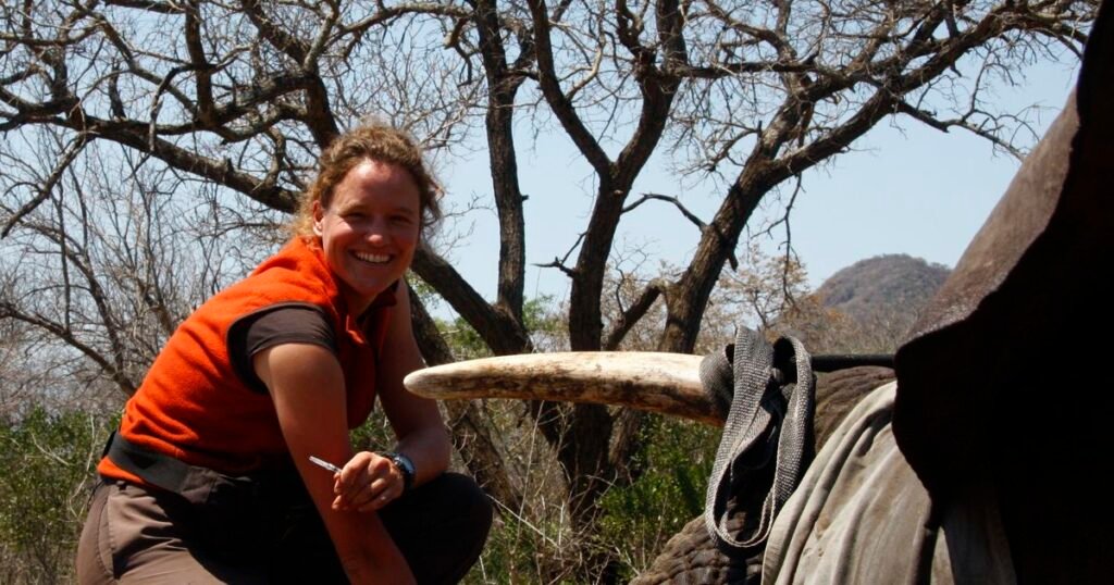 Veterinary stories from Africa in Lessen uit de wildernis