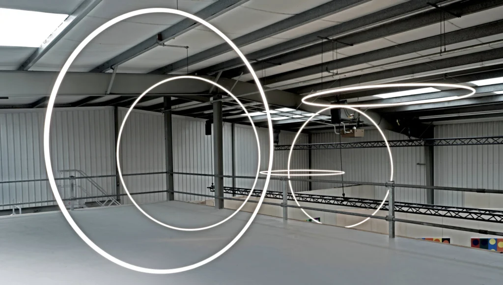 Naturocene opens at Project Space On The Inside