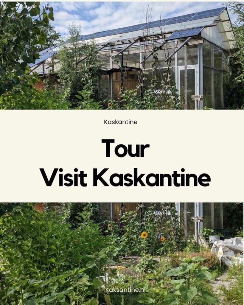 Walk through De Kaskantine’s self-built urban farm