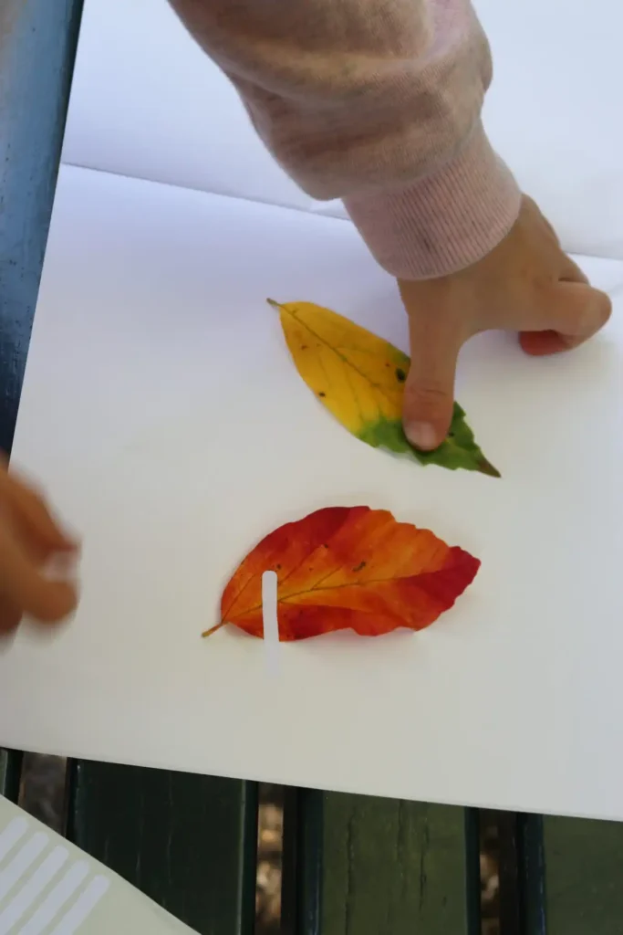 Collect autumn leaves and make a herbarium at the Hortus