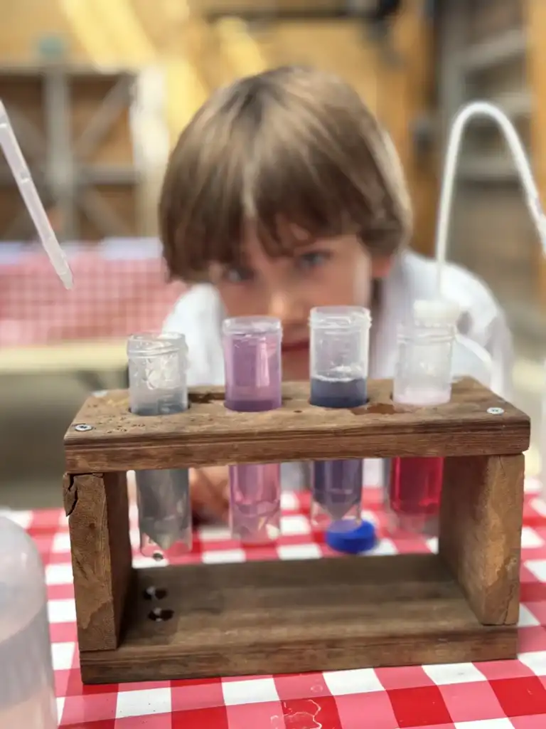 Autumn holiday experiments and fort stories on Pampus