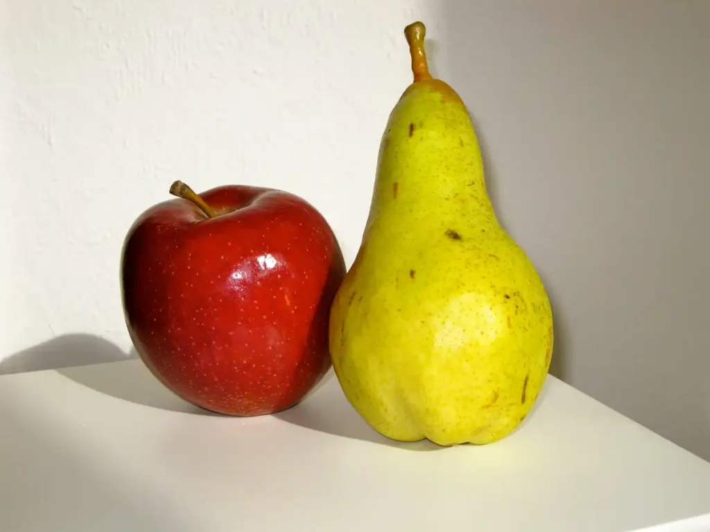 No Waste Army pickup day for rescued apples and pears